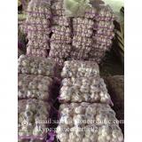 5.5cm Ajo Fresco Blanco Normal Empacado en Mallas de 10kgs Cultivado en China el Origen del Ajo
