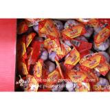 Diente de Ajo Cultivo en Jinxiang de 5.0cm Ajo Blanco Puro Empacado en Cajas de 10kgs