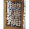 Ajo Chino Empacado en Cajas de Cartón Exportado a Guatemala