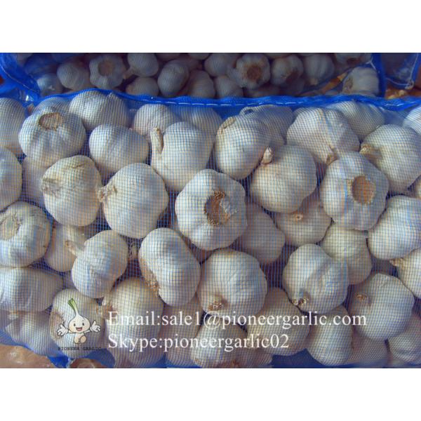 Cultivo del Ajo Chino de Jinxiang Shandong China 4.5cm, 5.5cm Fresco Ajo Material del Ajo Negro #2 image