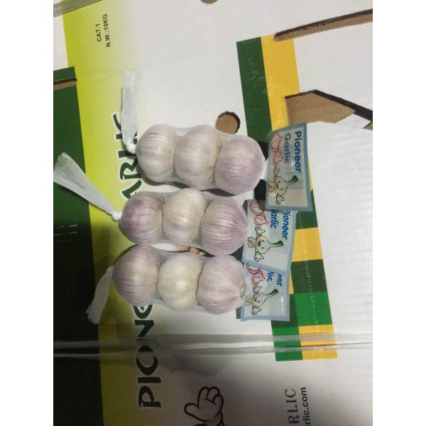 5.0cm Ajo Fresco Blanco Normal Empacado en Cajas de 10kgs Cultivado en China el Origen del Ajo #1 image