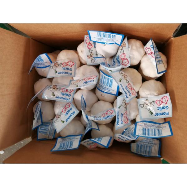 5.0cm Ajo Fresco Blanco Normal Empacado en Cajas de 10kgs Cultivado en China el Origen del Ajo #2 image